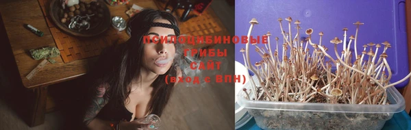 СК Мегион