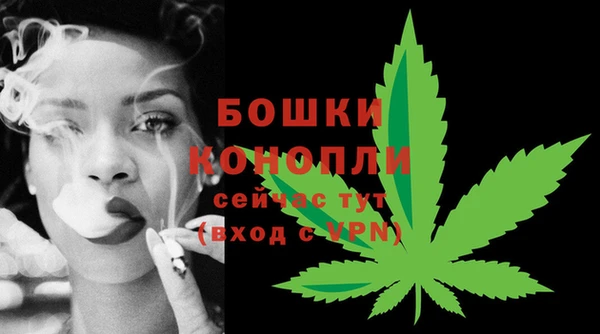 СК Мегион