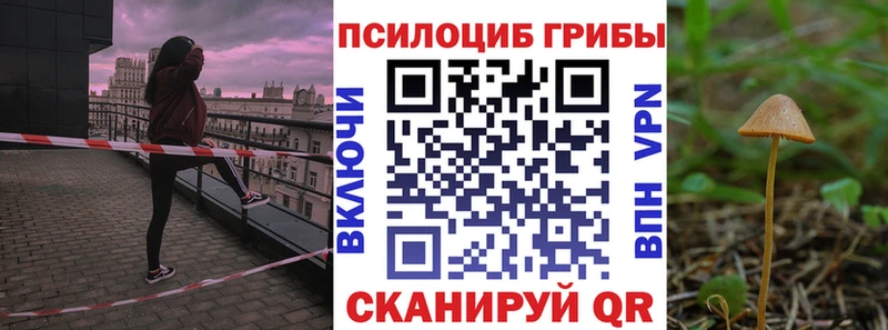 Псилоцибиновые грибы мицелий  Купить  Игра 